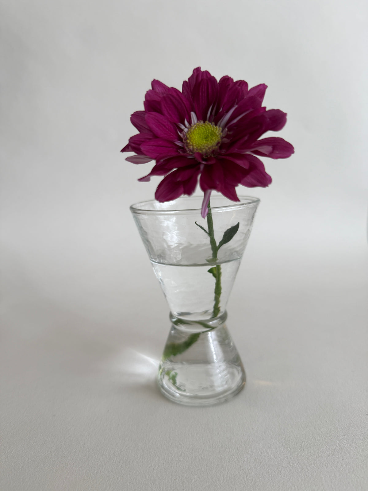 Clear glass vase with a purple flower on a white background